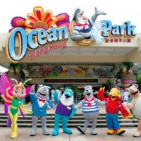 One-day Hong Kong Ocean Park Bus Tour