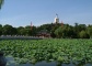 Beihai Park in Summer