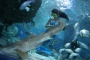 Mermaid in Beijing Aquarium