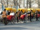 Rickshaw in Beijing Hutong