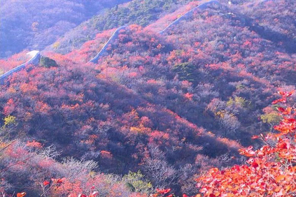 View of Fragrant Hills Park