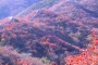 View of Fragrant Hills Park