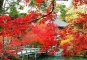 Sight of Fragrant Hills Park