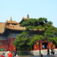 Lama Temple