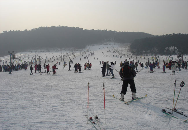 ski in Beijing