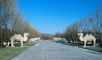 Ming Tombs' Road