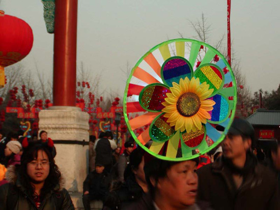Temple Of Earth Activity