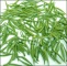 Leaves of Bamboo Green Tea