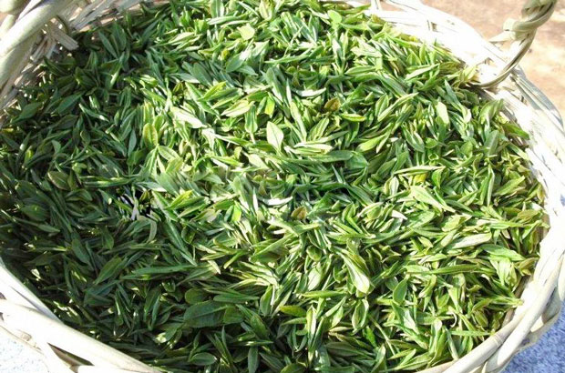Lushan Yunwu Tea Leaves