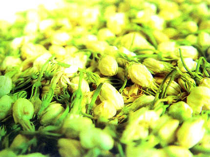 Suzhou Jasmine Tea Flowers