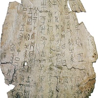 Carapace Bone Scripts