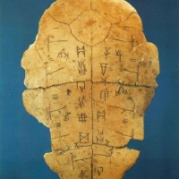 Carapace Bone Scripts