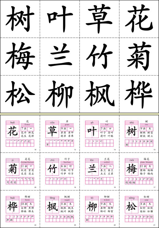 Chinese Language 21