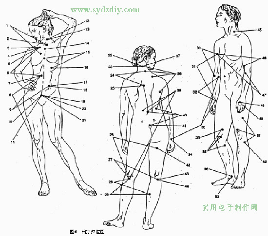 Culture Understanding-Body Structure