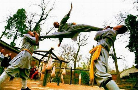 Culture Understanding-Acrobatics Fighting