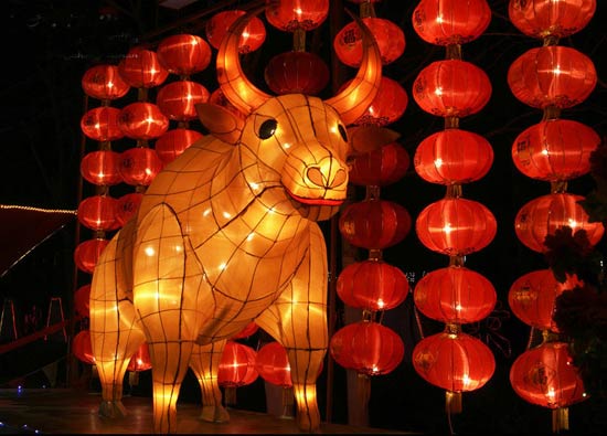 Chinese Lantern Festival-Lantern Show