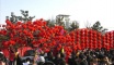 The Spring Festival-Red Lantern