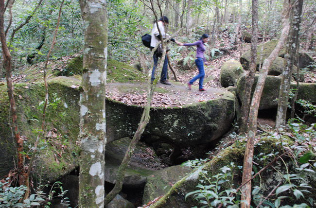 Gongyashan National Forest Park, Fujian China Travel