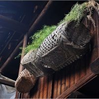 Shengqing Lou,Fujian Tulou Pictures