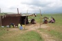 Sangke Pasture-Gansu Local People