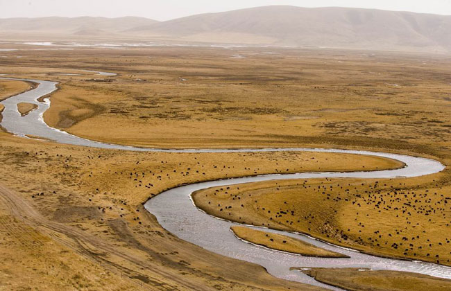 Sangke Pasture-Grassland