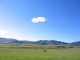 Sangke Pasture View