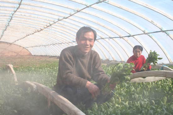 China Agriculture 24