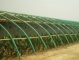 China Agriculture 2