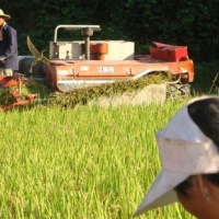 China Agriculture