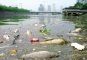 Environmental Protection in China 6