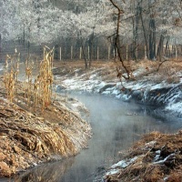 Environmental Protection in China