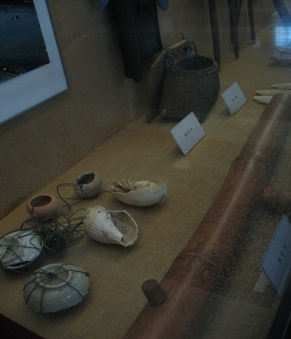 Museum of Guangxi Zhuang Autonomous Region Relics