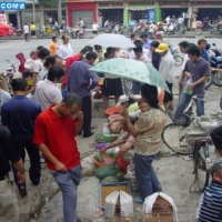 Nanning flower and bird market