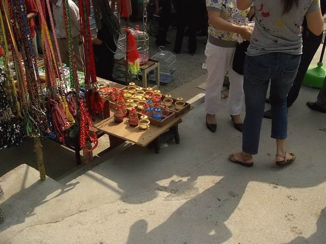 Nanning Flower and Bird Market 7