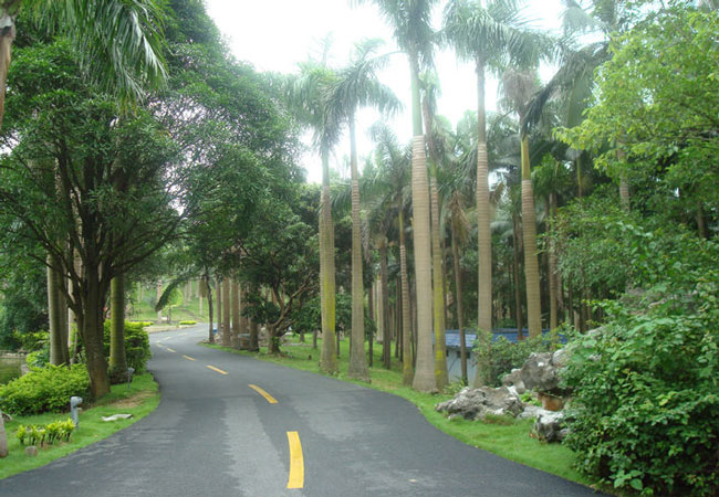 Qingxiu Mountain Scenic Area Road