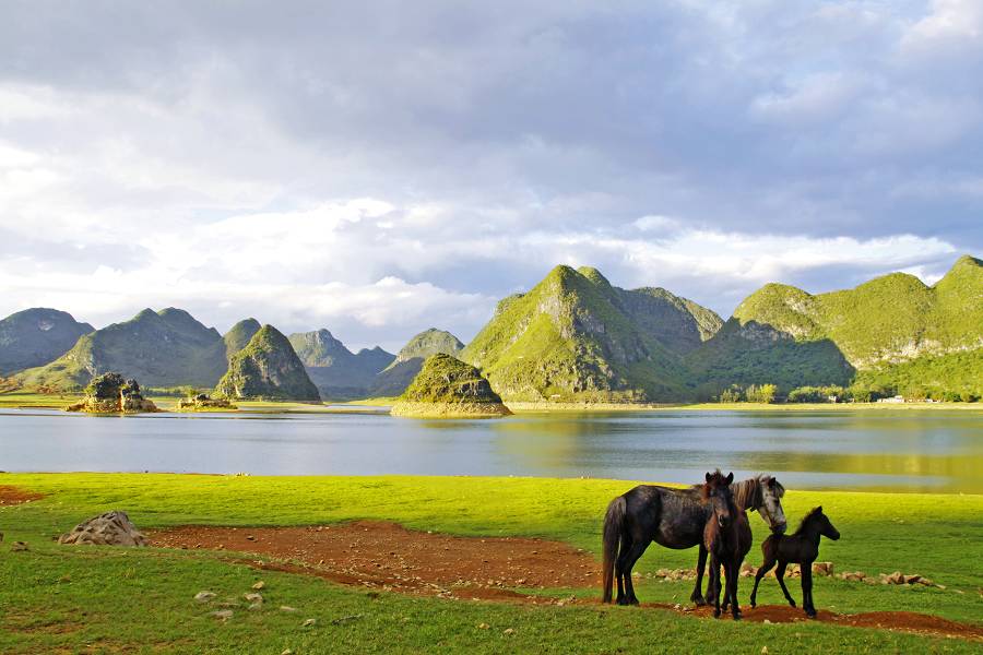 Quyang Lake Picture