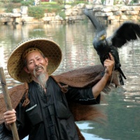 Cormorant Fishing Fun, Guilin Tours
