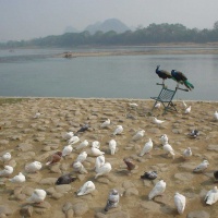 Elephant Trunk Hill, Guilin Tours