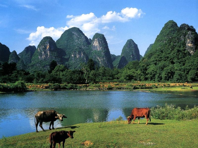 Li River Photo