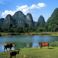 Li River, Guilin Tours
