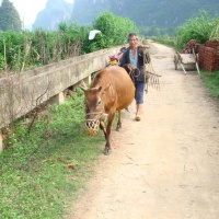 Li River, Guilin Tours