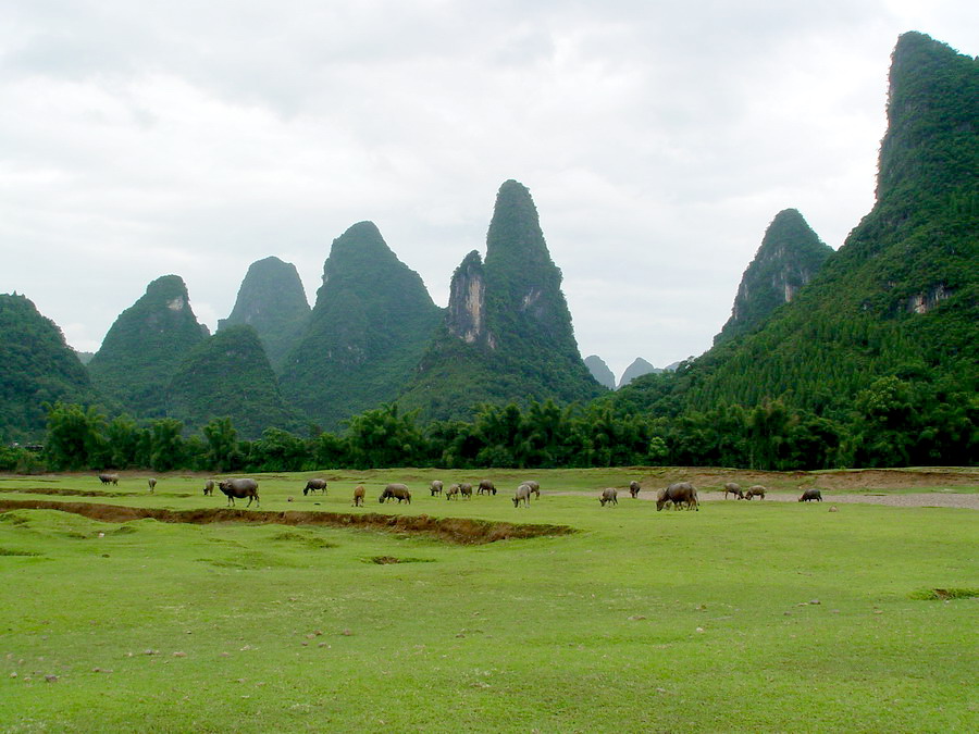 Li River