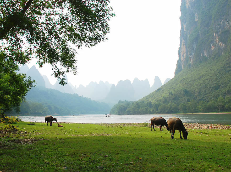 Li River