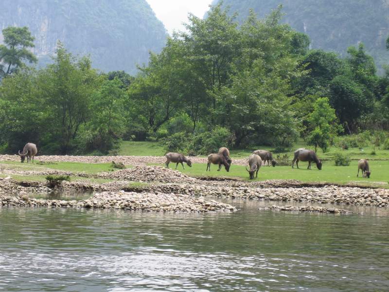 Li River