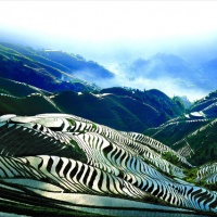 One-day Tour Longsheng Rice Terraces