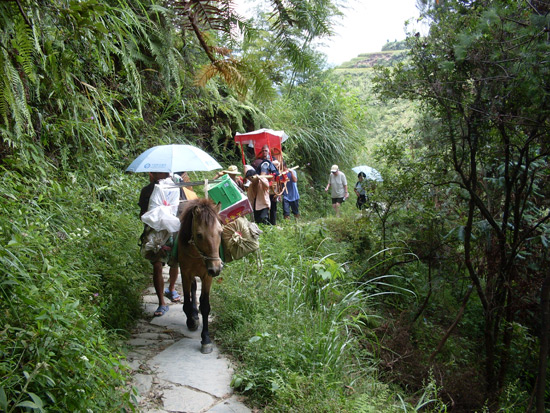 Longshengyao Villages