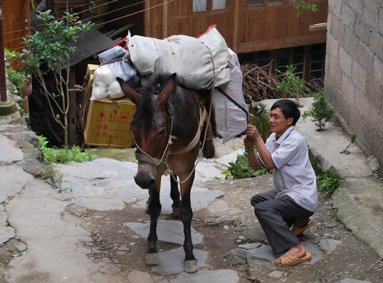 Longshengyao Villages