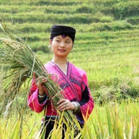 Longsheng yao Villages, Guilin Tours