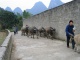 Trekking In Yangshuo