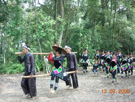 Basha Miao Village